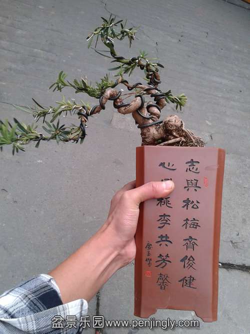 2013-11-22 15.48.41.jpg