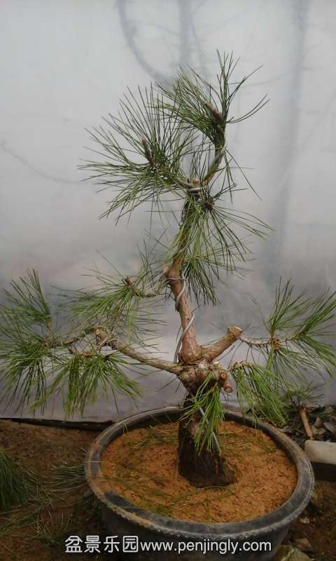 20141128_143508.jpg