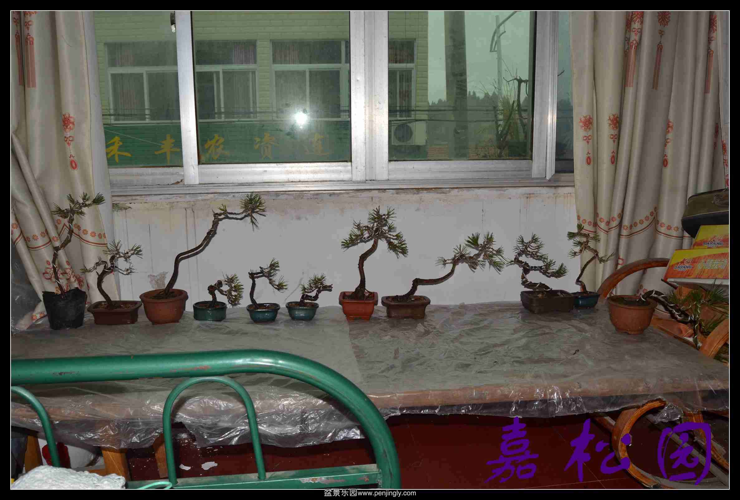 ���� 005.JPG