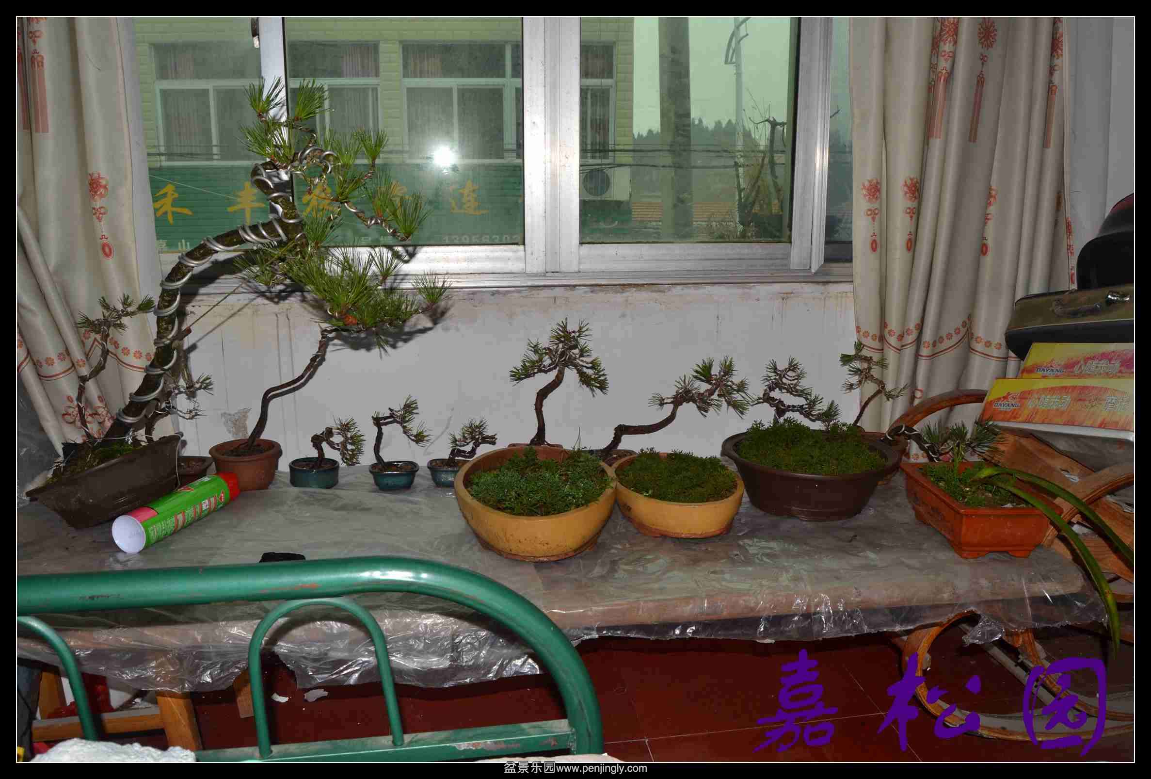 ���� 006.JPG