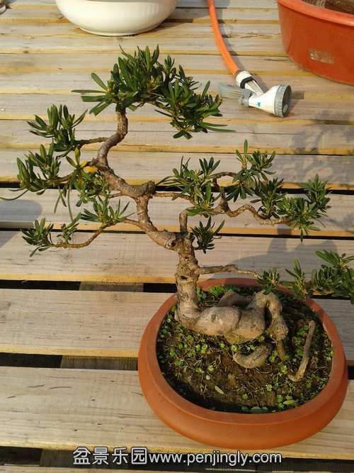 2013-12-02 13.38.34.jpg