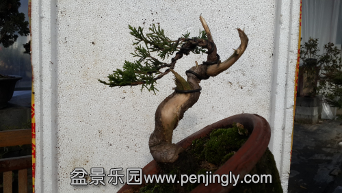 20141201_103201.jpg