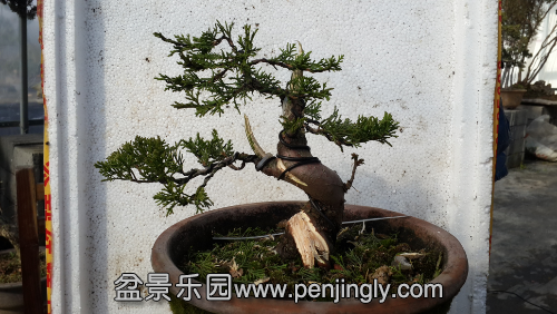 20141201_121550.jpg