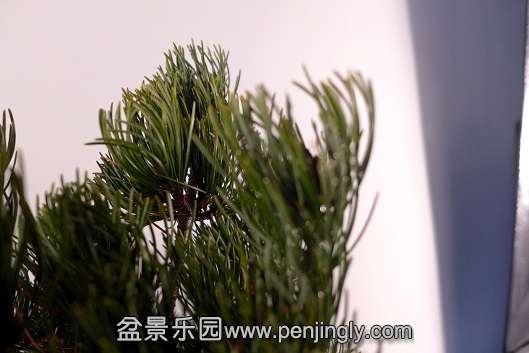 P1050245.JPG