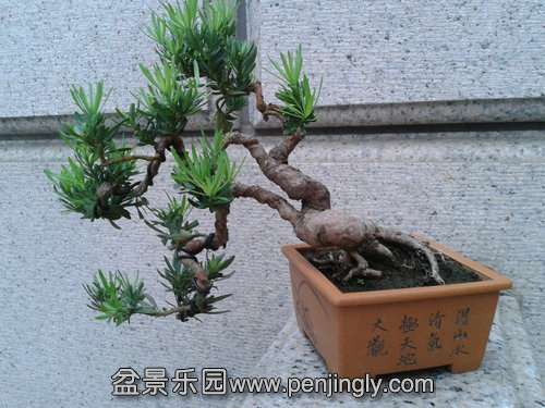 2013-09-08 17.15.49.jpg