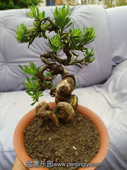 2013-05-17 13.23.15.jpg