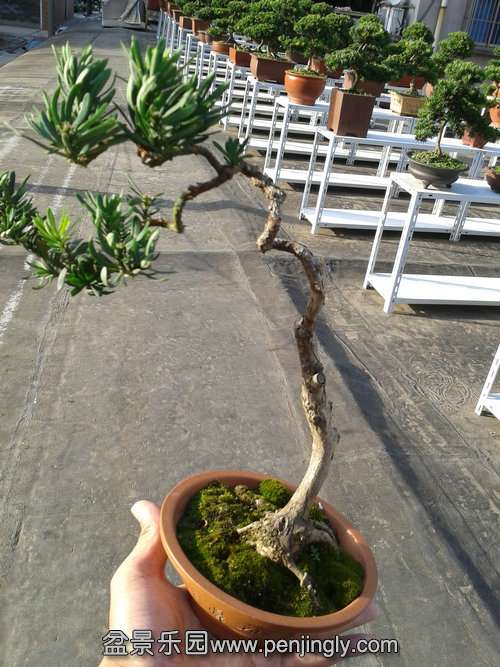 2013-07-13 17.25.47.jpg