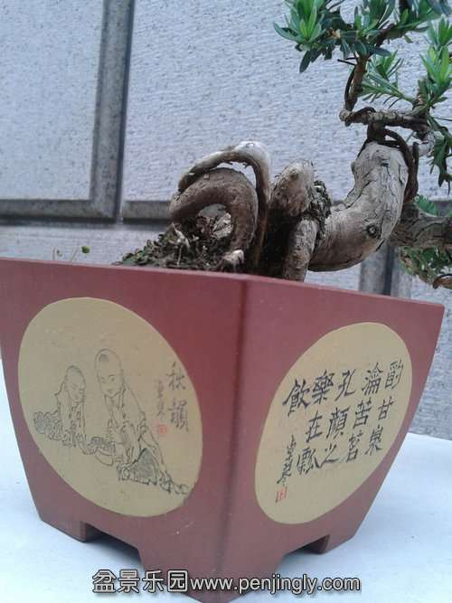 2013-06-10 17.58.16.jpg