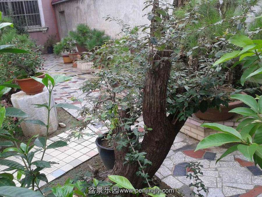 20140901_144140.jpg