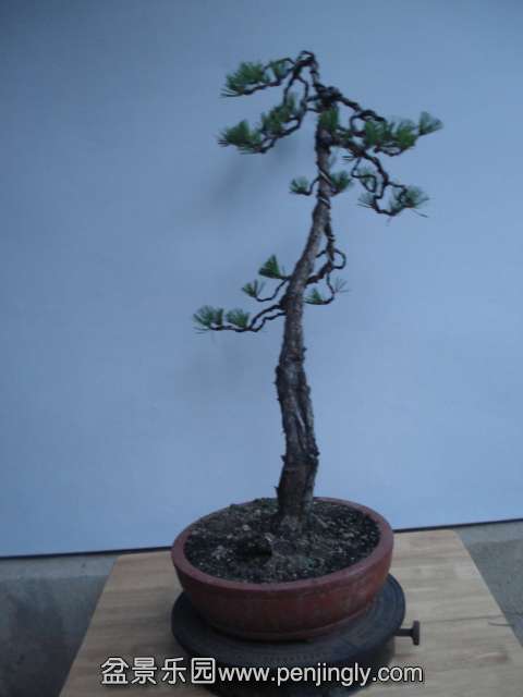 DSC00032.JPG