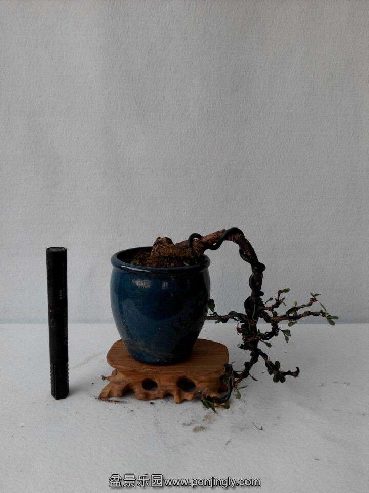 QQͼƬ20141202180815.jpg