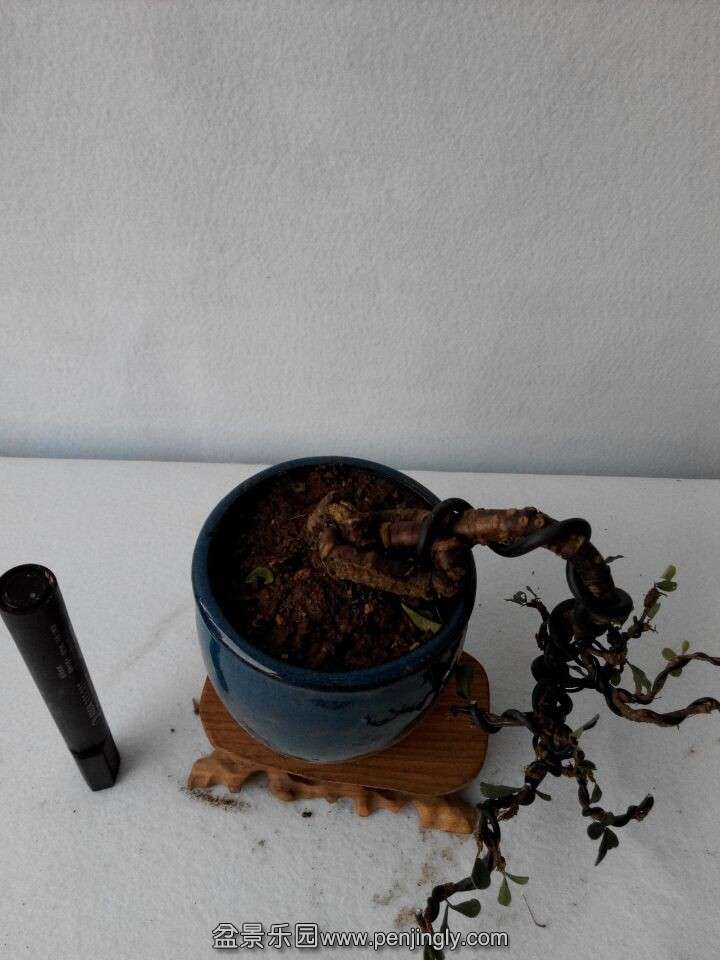 QQͼƬ20141202180809.jpg