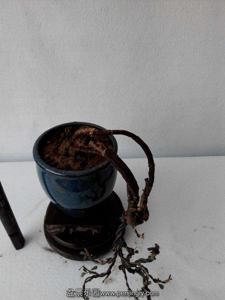 QQͼƬ20141202180825.jpg