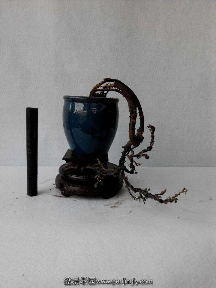 QQͼƬ20141202180820.jpg