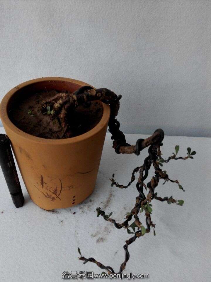 QQͼƬ20141202180830.jpg