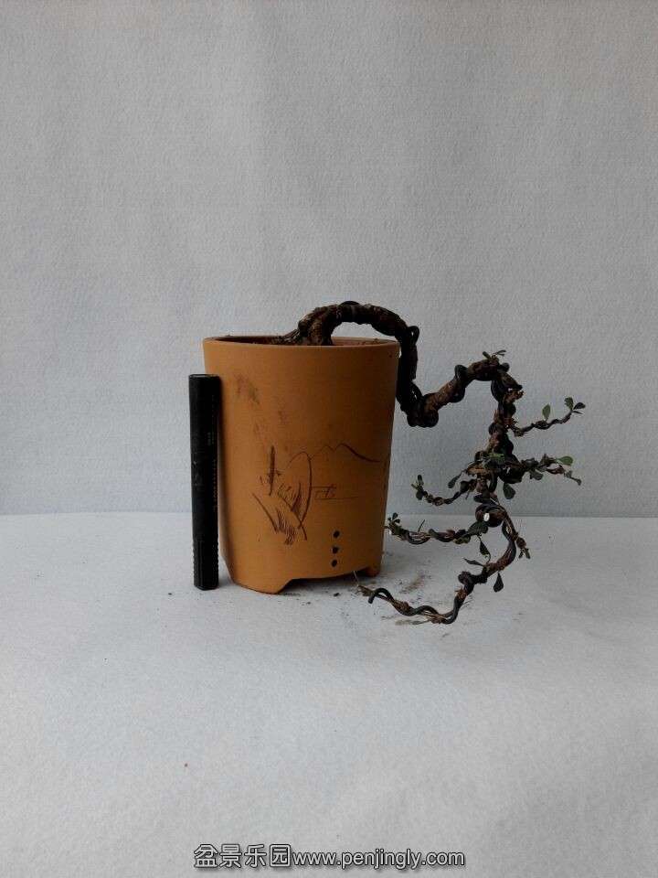 QQͼƬ20141202180835.jpg