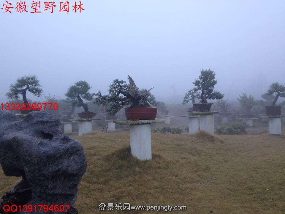 B00DC52258BE7A642FB0ABE692CFE92E.jpg