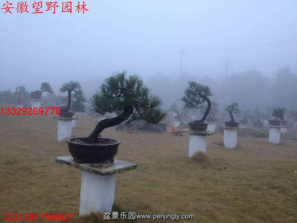 EB86FE46E58ABA434E18F5154ECF582C.jpg