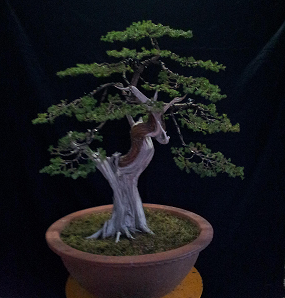 20141122_170514_1.jpg