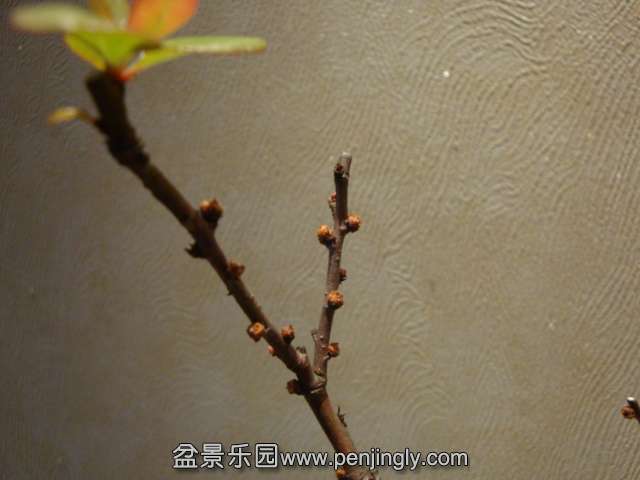 DSC09610.JPG