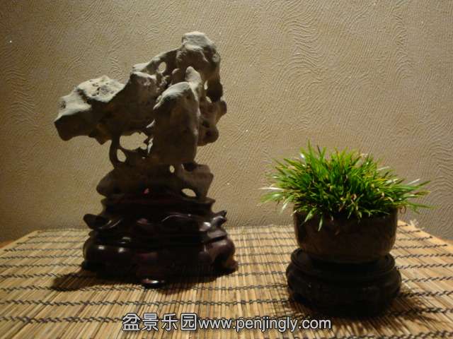DSC09676.JPG