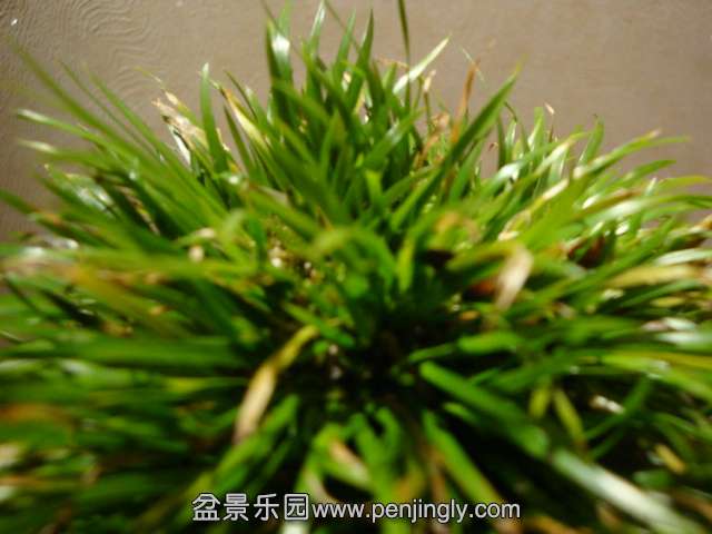 DSC09680.JPG