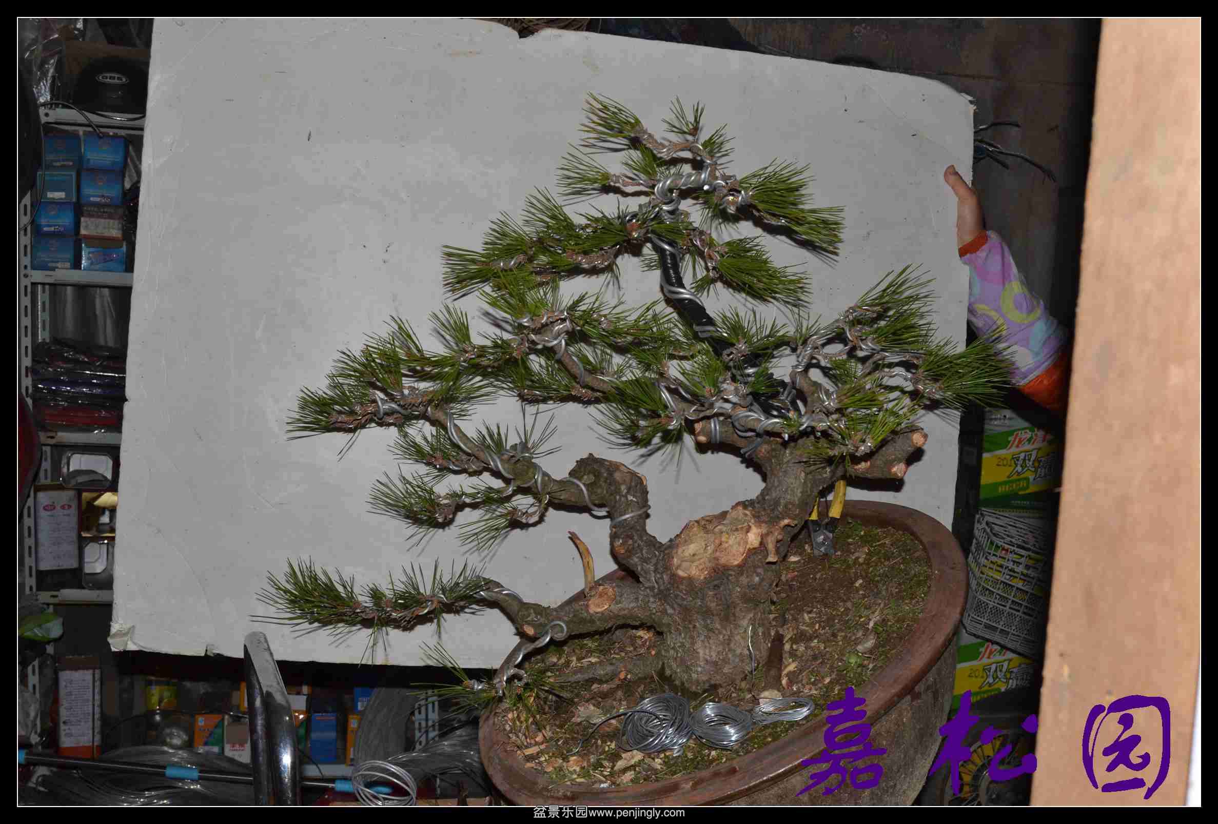 ���� 007.JPG