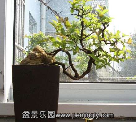 Ƭ 088.jpg