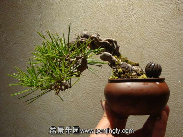 DSC09618.JPG