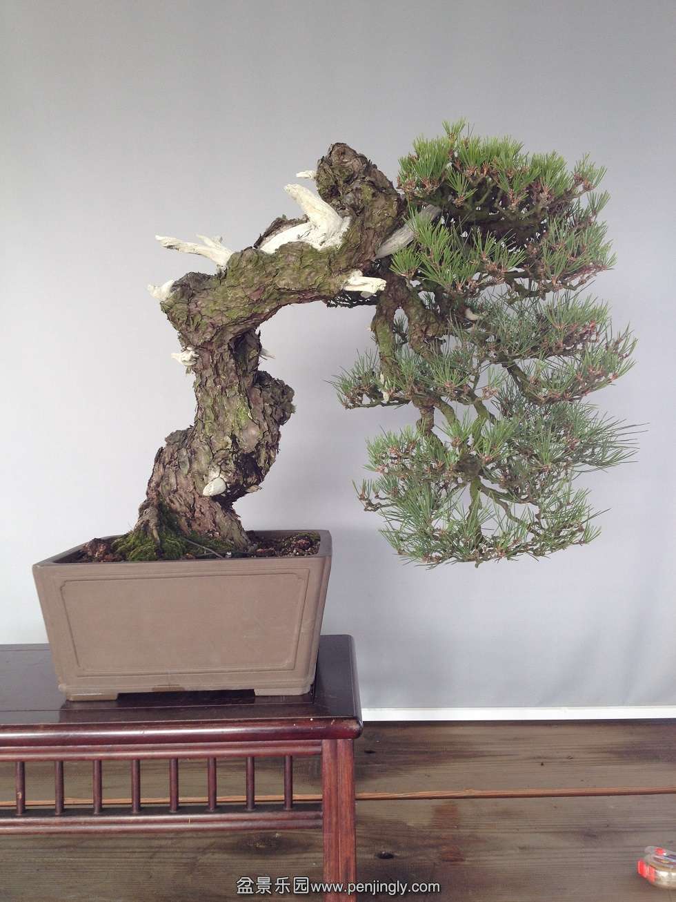 �����60cm����15cm