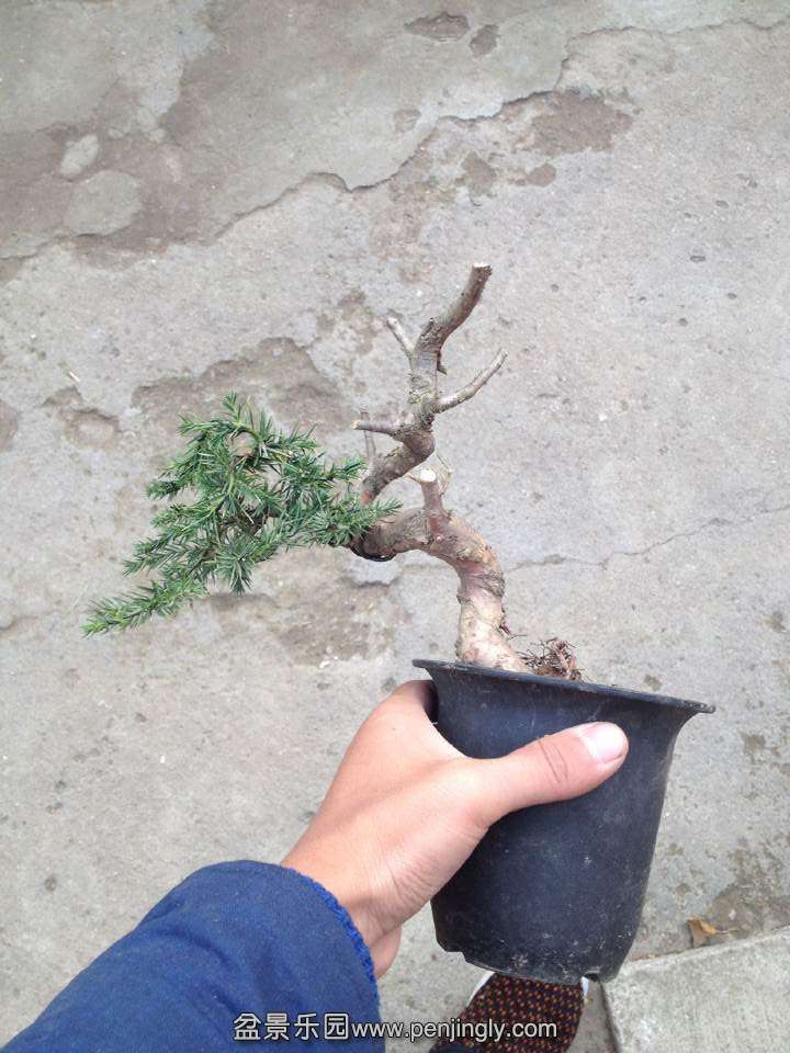 QQͼƬ20141209163038.jpg