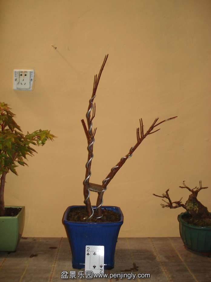 DSC00980.JPG