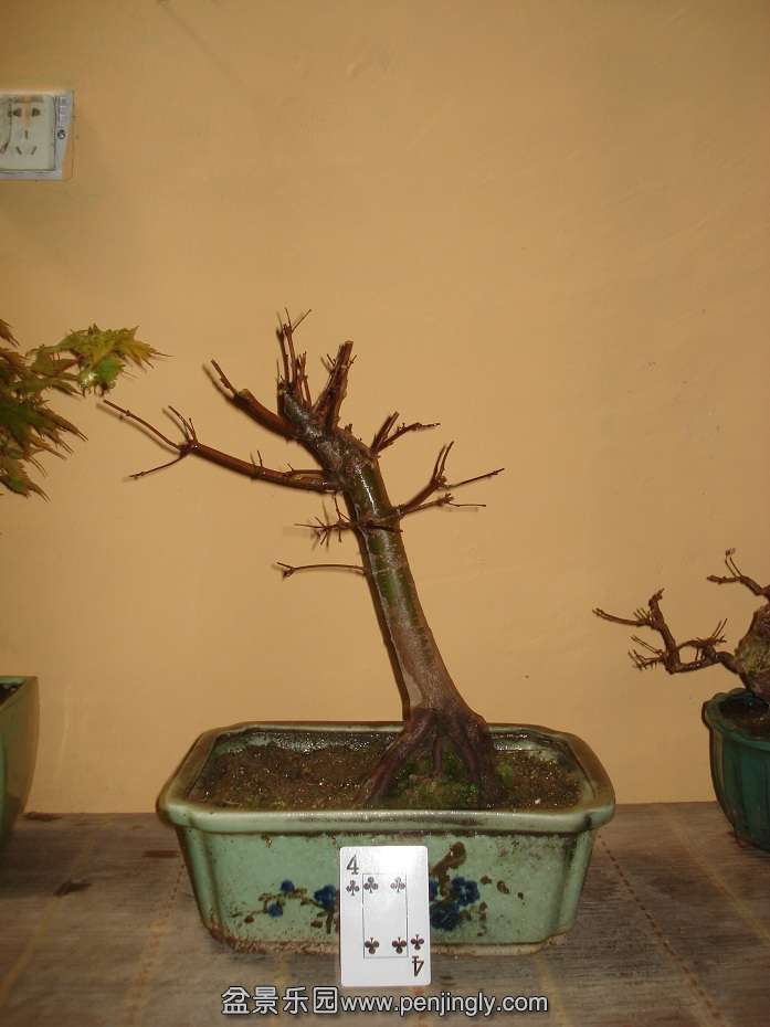 DSC00982.JPG