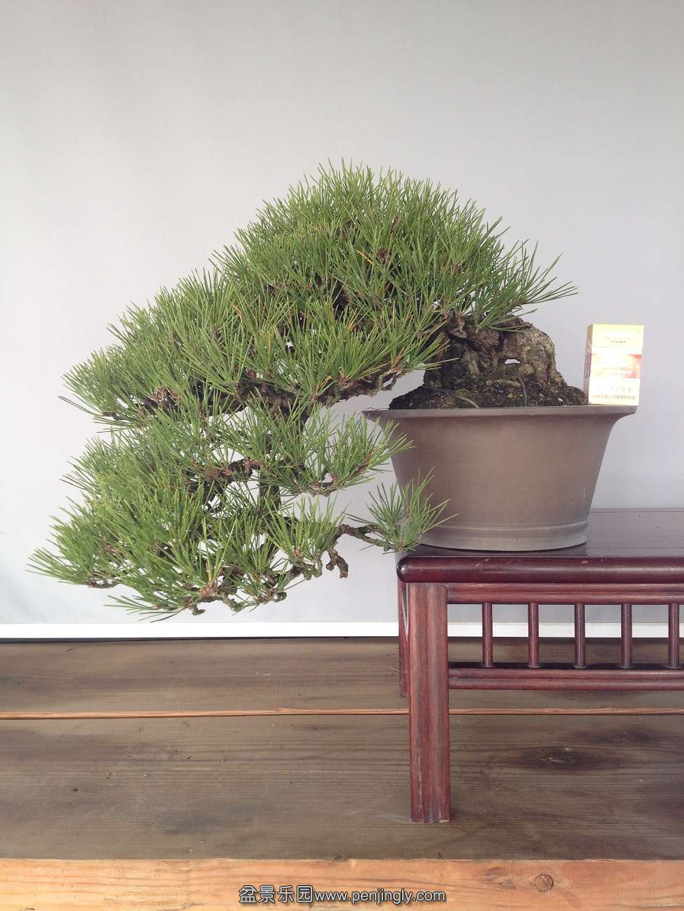 �����25cm    Ʈ��70cm