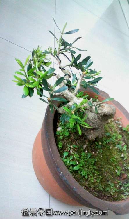 IMG1203135900.jpg