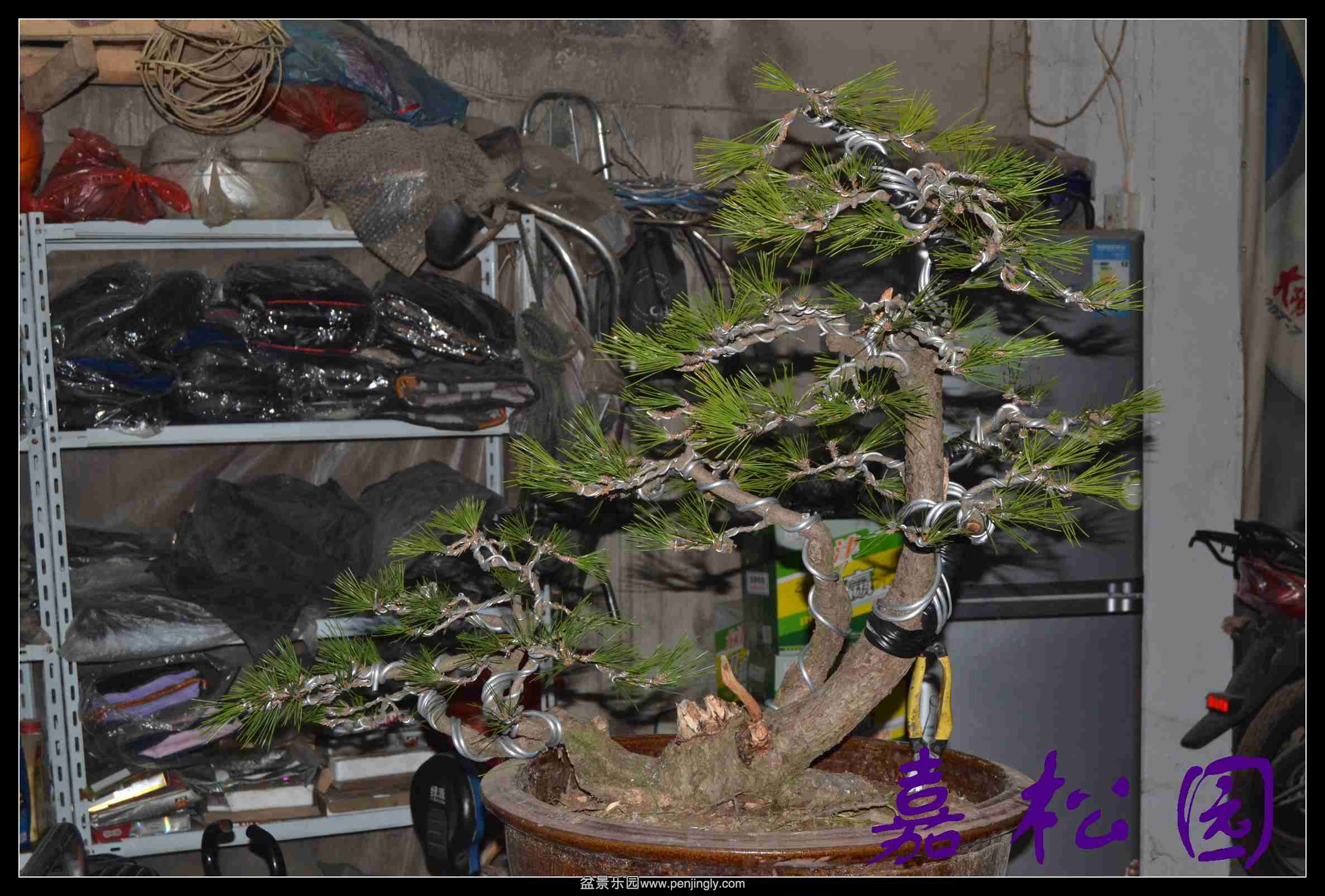 ���� 004.JPG