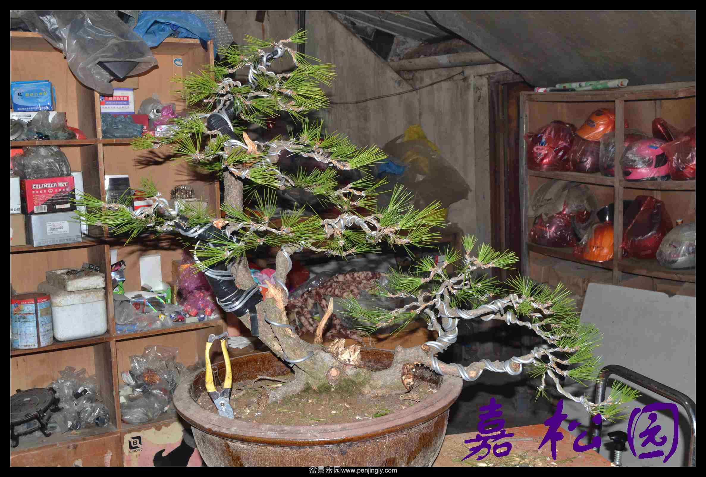 ���� 005.JPG