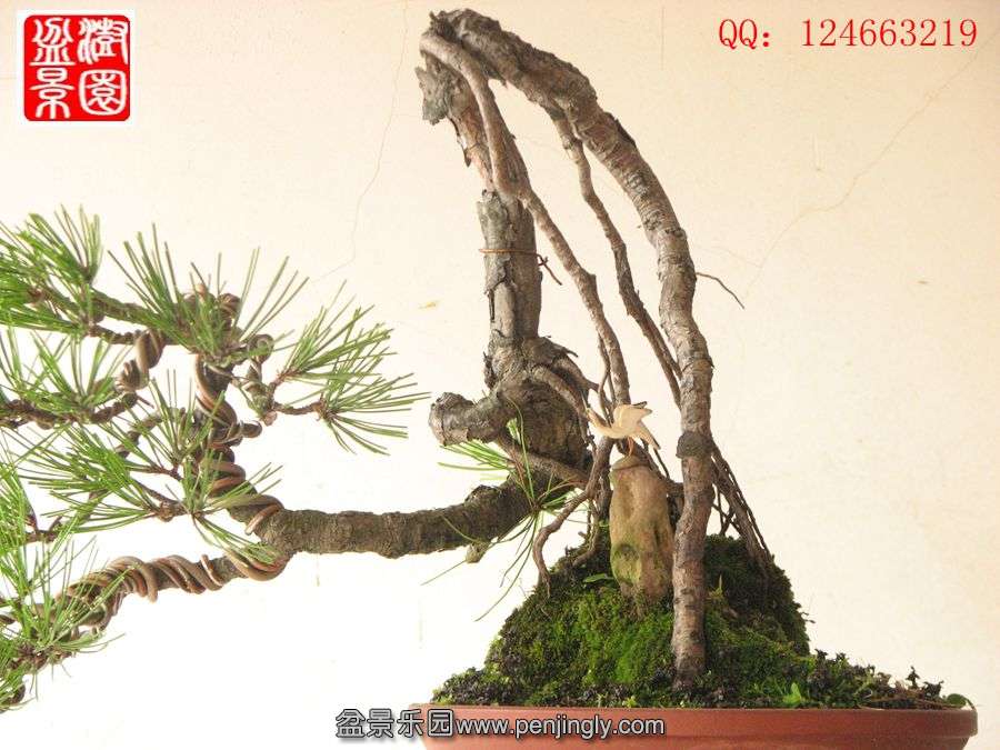 IMG_0725__.jpg