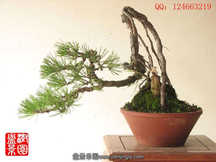 IMG_0727__.jpg