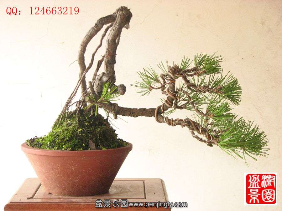 IMG_0729__.jpg