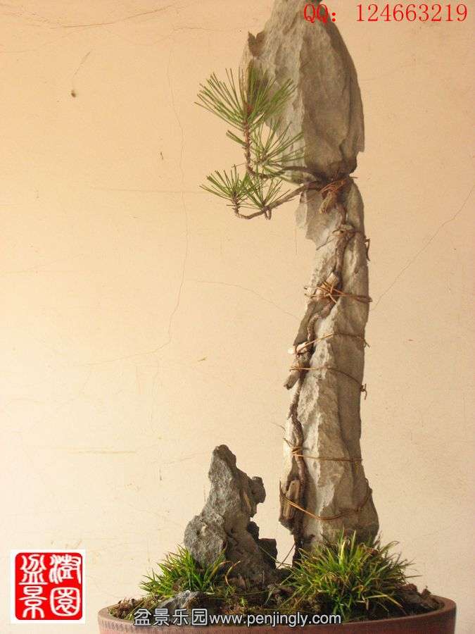 IMG_0759__.jpg