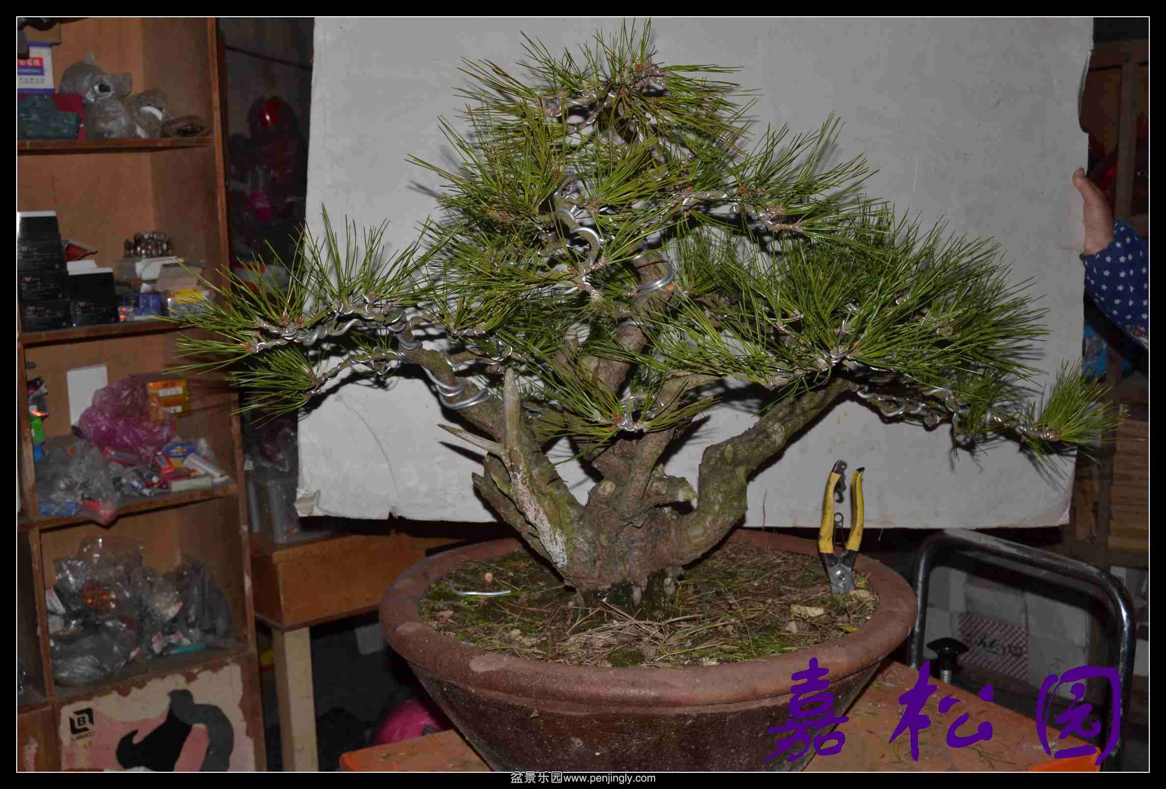 ���� 039.JPG