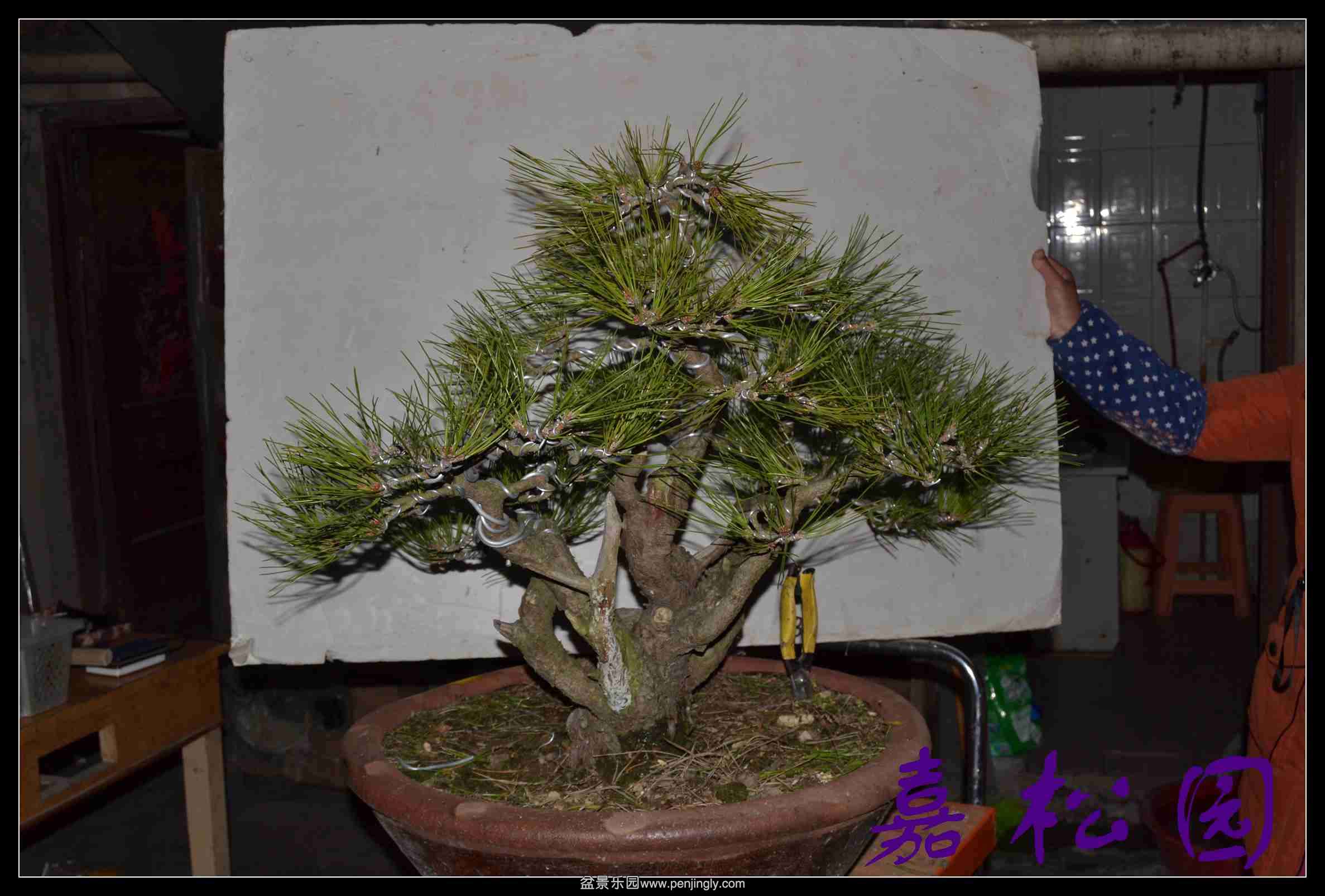 ���� 040.JPG