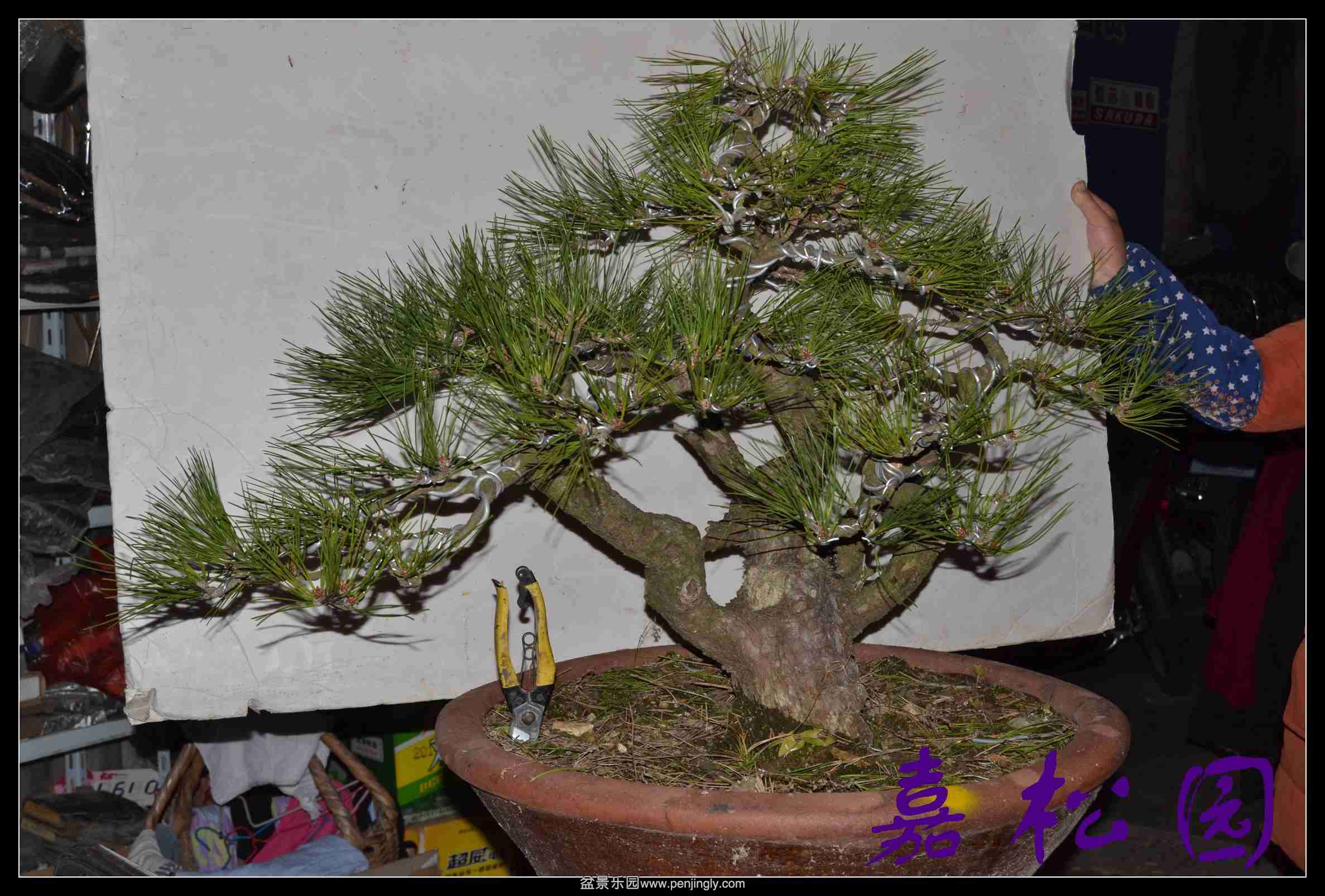 ���� 043.JPG