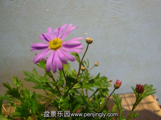 DSC09682.JPG