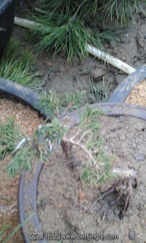 20141210_075050.jpg