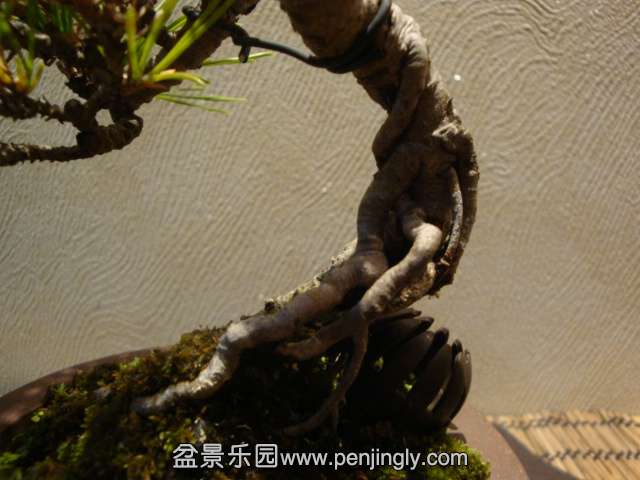 DSC09630.JPG
