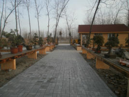 psb (13).jpg