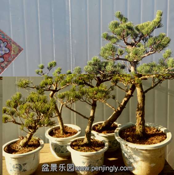 ���һ�̴�����