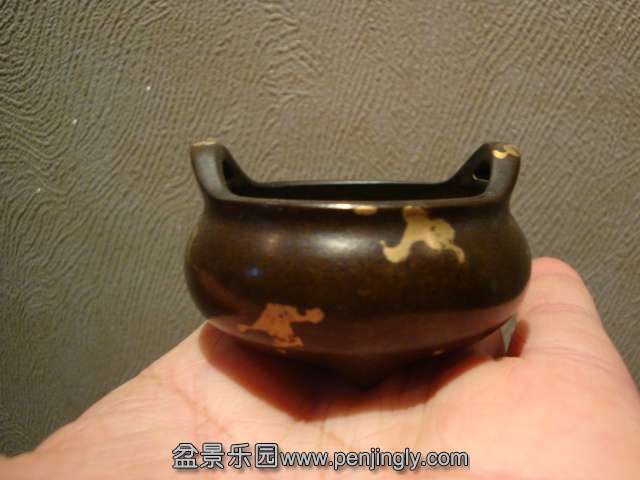 DSC09637.JPG